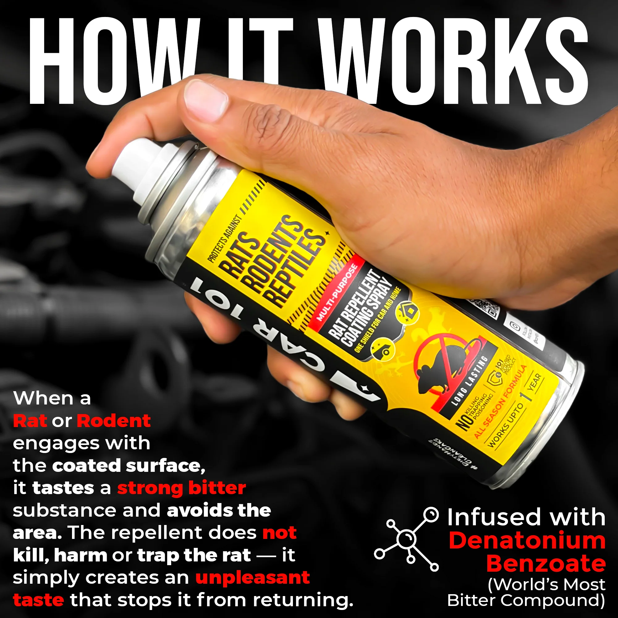CAR101 Car Rat Repellent Spray | Anti Rat & Rodent Spray for Engine & Wiring Protection | Long Lasting Rat Protection for Cars & Bikes - Image 10